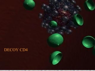 DECOY CD4
 