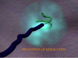 PREVENTION OF REPLICATION
 