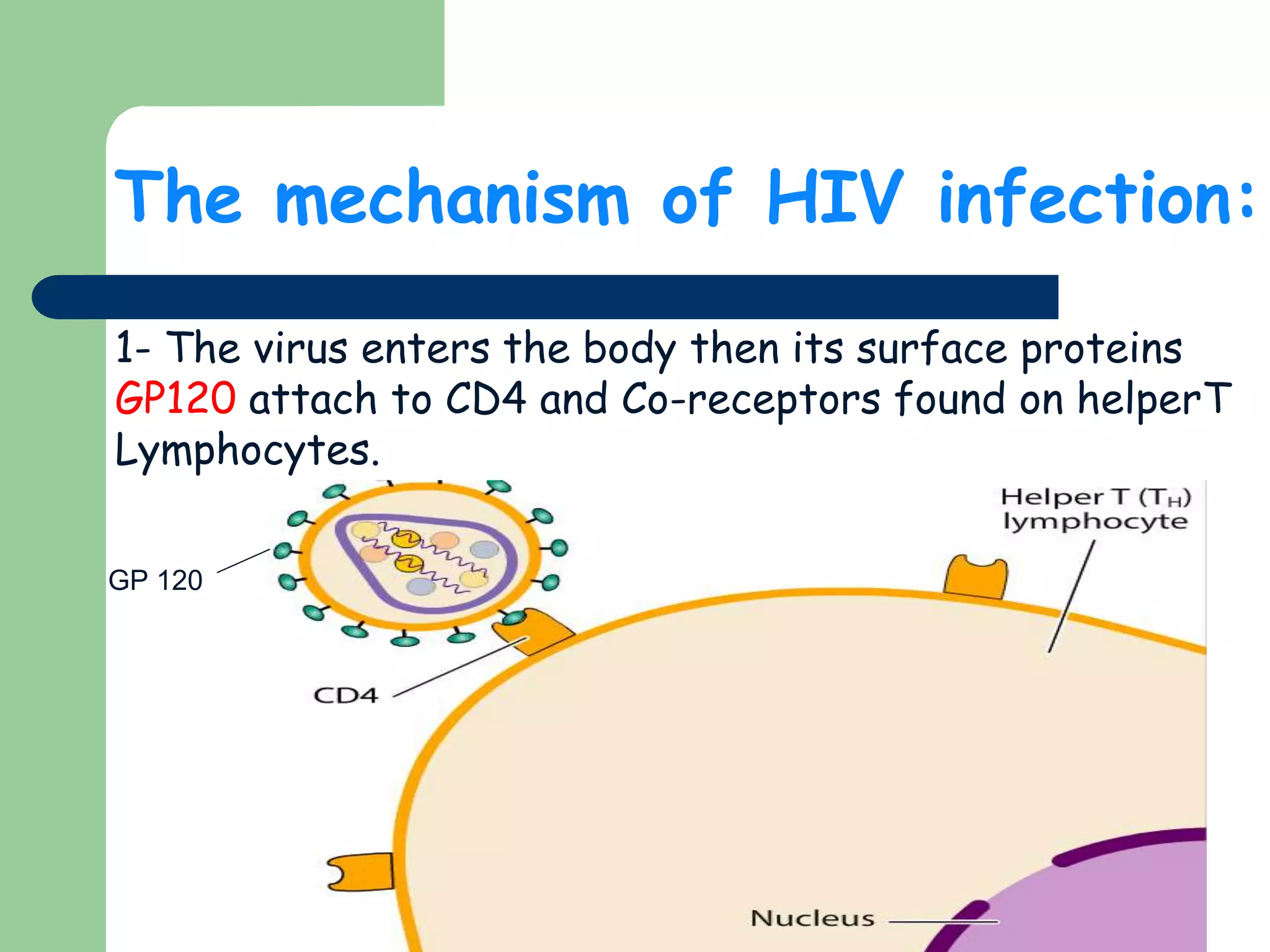 Hiv & its mechanism | PPTX