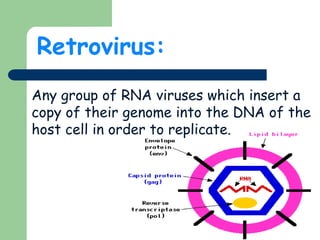 Hiv &amp; its mechanism | PPT