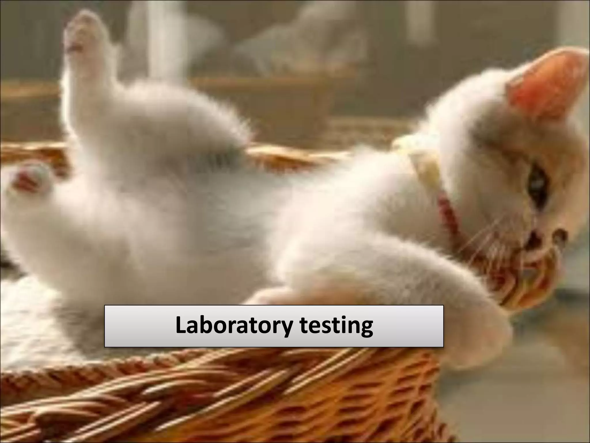 Laboratory testing
 