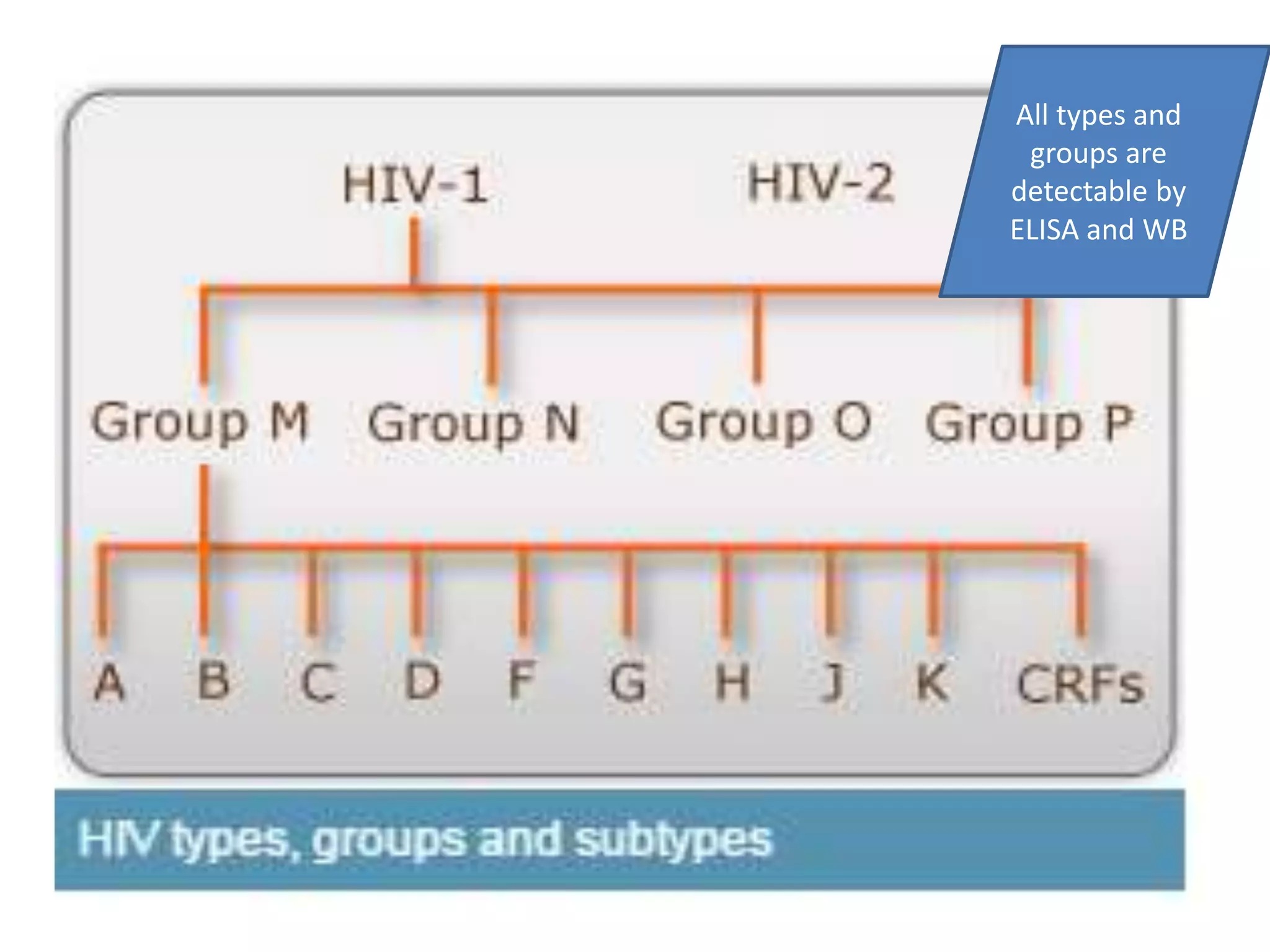 All types and
groups are
detectable by
ELISA and WB
 