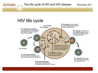 Hiv Lifecycle | PPTX