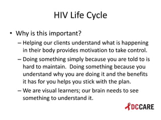 Hiv life cycle and immune system basics presentation - tacp 4 18 2013 ...