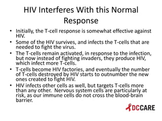 Hiv life cycle and immune system basics presentation - tacp 4 18 2013 ...