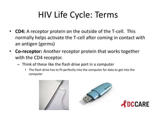 Hiv life cycle and immune system basics presentation - tacp 4 18 2013 ...