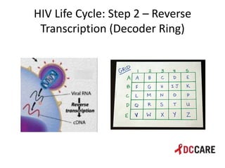 Hiv life cycle and immune system basics presentation - tacp 4 18 2013 ...