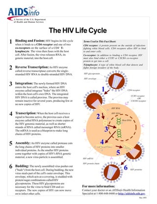 A Service of the U.S. Department
    of Health and Human Services



                                       The HIV Life Cycle
1    Binding and Fusion: HIV begins its life cycle
     when it binds to a CD4 receptor and one of two
                                                             Terms Used in This Fact Sheet:
                                                             CD4 receptor: A protein present on the outside of infection-
     co-receptors on the surface of a CD4+ T-                fighting white blood cells. CD4 receptors allow HIV to bind
     lymphocyte. The virus then fuses with the host          to and enter cells.
     cell. After fusion, the virus releases RNA, its         Co-receptor: In addition to binding a CD4 receptor, HIV
     genetic material, into the host cell.                   must also bind either a CCR5 or CXCR4 co-receptor
                                                             protein to get into a cell.
                                                             T-lymphocyte: A type of white blood cell that detects and
2    Reverse Transcription: An HIV enzyme
     called reverse transcriptase converts the single-
                                                             fights foreign invaders of the body.

     stranded HIV RNA to double-stranded HIV DNA.            HIV glycoprotein

                                                             HIV envelope


3    Integration: The newly formed HIV DNA
     enters the host cell's nucleus, where an HIV
     enzyme called integrase "hides" the HIV DNA
     within the host cell's own DNA. The integrated
                                                                                1                        CD4 receptor

                                                                                                            CCR5 receptor
     HIV DNA is called provirus. The provirus may                                                                -OR-
     remain inactive for several years, producing few or                                                    CXCR4 receptor
     no new copies of HIV.
                                                                                         HIV RNA
                                                                                Human DNA

4    Transcription: When the host cell receives a
     signal to become active, the provirus uses a host                      2   HIV DNA
                                                                                          HIV DNA


     enzyme called RNA polymerase to create copies of                                               Host DNA
     the HIV genomic material, as well as shorter
     strands of RNA called messenger RNA (mRNA).
     The mRNA is used as a blueprint to make long
     chains of HIV proteins.
                                                                                    3
5    Assembly: An HIV enzyme called protease cuts
     the long chains of HIV proteins into smaller
                                                                                4
     individual proteins. As the smaller HIV proteins
     come together with copies of HIV's RNA genetic
     material, a new virus particle is assembled.
                                                                                              5
                                                            HIV mRNA

                                                            HIV protein chain
6    Budding: The newly assembled virus pushes out
     ("buds") from the host cell. During budding, the new                                            6     HIV proteins
     virus steals part of the cell's outer envelope. This
     envelope, which acts as a covering, is studded with
     protein/sugar combinations called HIV
     glycoproteins. These HIV glycoproteins are
     necessary for the virus to bind CD4 and co-            For more information:
     receptors. The new copies of HIV can now move          Contact your doctor or an AIDSinfo Health Information
     on to infect other cells.                              Specialist at 1-800-448-0440 or http://aidsinfo.nih.gov.
                                                                                                                    May 2005
 