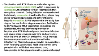 Infected Rts Vaccines for HIV, Tuberculosis and Malaria | PPTX