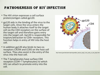 patHogeneSIS of HIV InfectIon
▪ The HIV virion expresses a cell surface
protein/antigen called gp120.
▪ gp120 aids in the binding of the virus to the
target cells. Once the virus enters the
human body it attaches itself to the target
cell via the CD4 receptors on the surface of
the target cell and therefore gains entry
into the target cell. Gp120 is responsible for
tropism/attraction to CD4+ receptors. This
function helps in entry of HIV into the host
cell.
▪ In addition gp120 also binds to two co-
receptors CXCR4 and CCR5 on the host cell
surface. They also assist in the entry of the
virus into the host cell.
▪ The T-lymphocytes have surface CD4
receptors (CD4+ T lymphocytes) to which
HIV can attach to promote entry into the
cell.
http://www.itg.be/internet/e-learning/written_lecture_eng/2_virus_entry_in_the_body.html
 