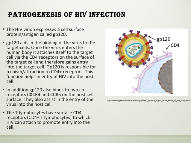 HIV pathology sufia husain 2017 | PPT