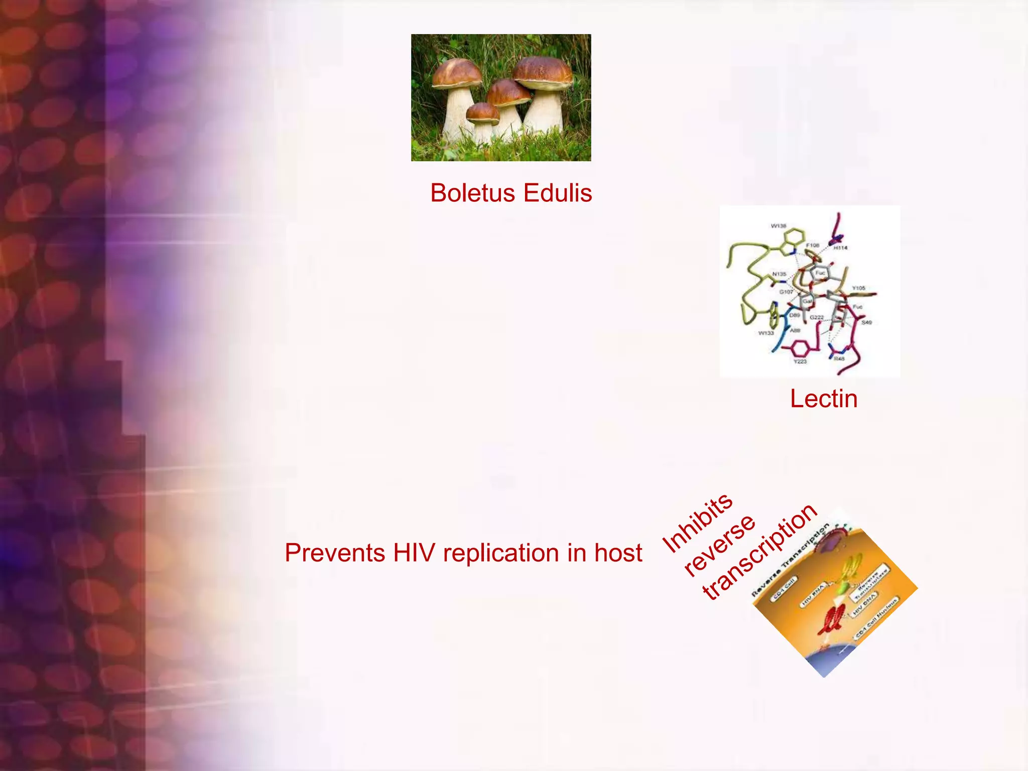Hiv ppt | PPT | Free Download