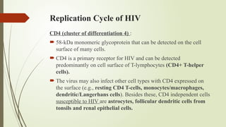 Replication Cycle of HIV
CD4 (cluster of differentiation 4) :
 58-kDa monomeric glycoprotein that can be detected on the cell
surface of many cells.
 CD4 is a primary receptor for HIV and can be detected
predominantly on cell surface of T-lymphocytes (CD4+ T-helper
cells).
 The virus may also infect other cell types with CD4 expressed on
the surface (e.g., resting CD4 T-cells, monocytes/macrophages,
dendritic/Langerhans cells). Besides these, CD4 independent cells
susceptible to HIV are astrocytes, follicular dendritic cells from
tonsils and renal epithelial cells.
 