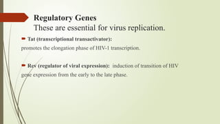 Regulatory Genes
These are essential for virus replication.
 Tat (transcriptional transactivator):
promotes the elongation phase of HIV-1 transcription.
 Rev (regulator of viral expression): induction of transition of HIV
gene expression from the early to the late phase.
 