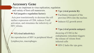 Accessory Gene
These are important in virus replication, regulation
and variety of host cell maneuvers.
 Nef (negative regulation factor):
Acts post translationally to decrease the cell
surface expression of CD4, reduces T-cell
activation, and stimulates the infectivity of
HIV virions.
 Vif (viral infectivity):
the reproduction of HIV in peripheral blood
lymphocytes, macrophages.
 Vpr (viral protein R):
 Facilitates transport of the
provirus DNA into the nucleus
 Induces G2 growth arrest
 Vpu (viral protein unique):
decaying of CD4 in the
endoplasmic reticulum triggers
the release of virions from
infected cells
 HIV-2 lacks the vpu gene.
 