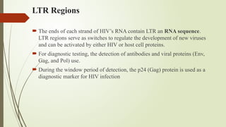 LTR Regions
 The ends of each strand of HIV’s RNA contain LTR an RNA sequence.
LTR regions serve as switches to regulate the development of new viruses
and can be activated by either HIV or host cell proteins.
 For diagnostic testing, the detection of antibodies and viral proteins (Env,
Gag, and Pol) use.
 During the window period of detection, the p24 (Gag) protein is used as a
diagnostic marker for HIV infection
 