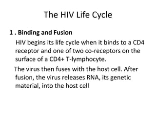 The HIV Life Cycle 
1 . Binding and Fusion 
HIV begins its life cycle when it binds to a CD4 
receptor and one of two co-receptors on the 
surface of a CD4+ T-lymphocyte. 
The virus then fuses with the host cell. After 
fusion, the virus releases RNA, its genetic 
material, into the host cell 
 