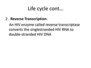 Life cycle cont… 
2 . Reverse Transcription: 
An HIV enzyme called reverse transcriptase 
converts the singlestranded HIV RNA to 
double-stranded HIV DNA 
 