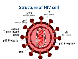 Structure of HIV cell 
 