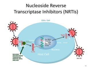 Nucleoside Reverse 
Transcriptase Inhibitors (NRTIs) 
48 
RNA DNA 
Nucleus 
Host Cell 
 