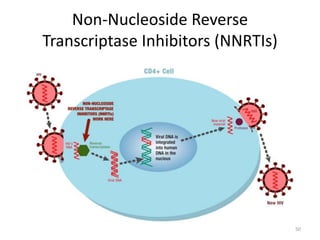 Non-Nucleoside Reverse 
Transcriptase Inhibitors (NNRTIs) 
50 
 