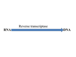 Reverse transcriptase
RNA DNA
 