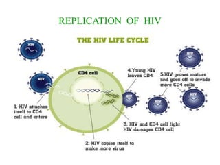 REPLICATION OF HIV
 