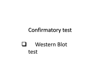 Confirmatory test
 Western Blot
test
 