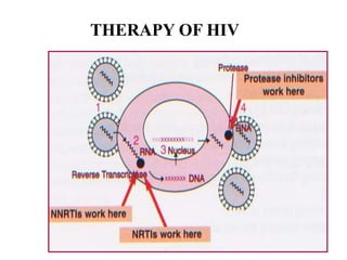 THERAPY OF HIV
 