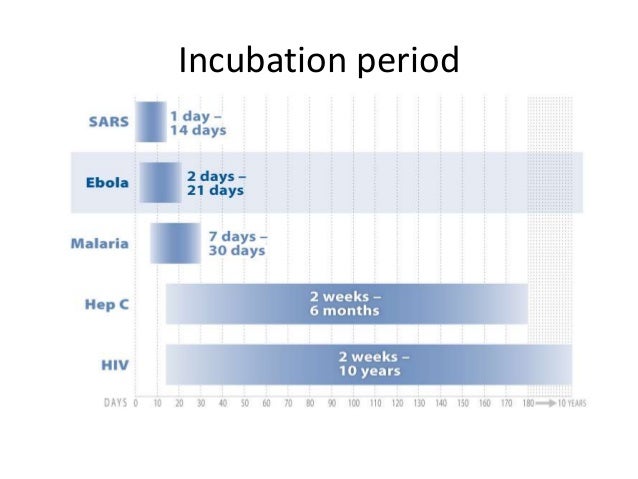 Hiv gestation