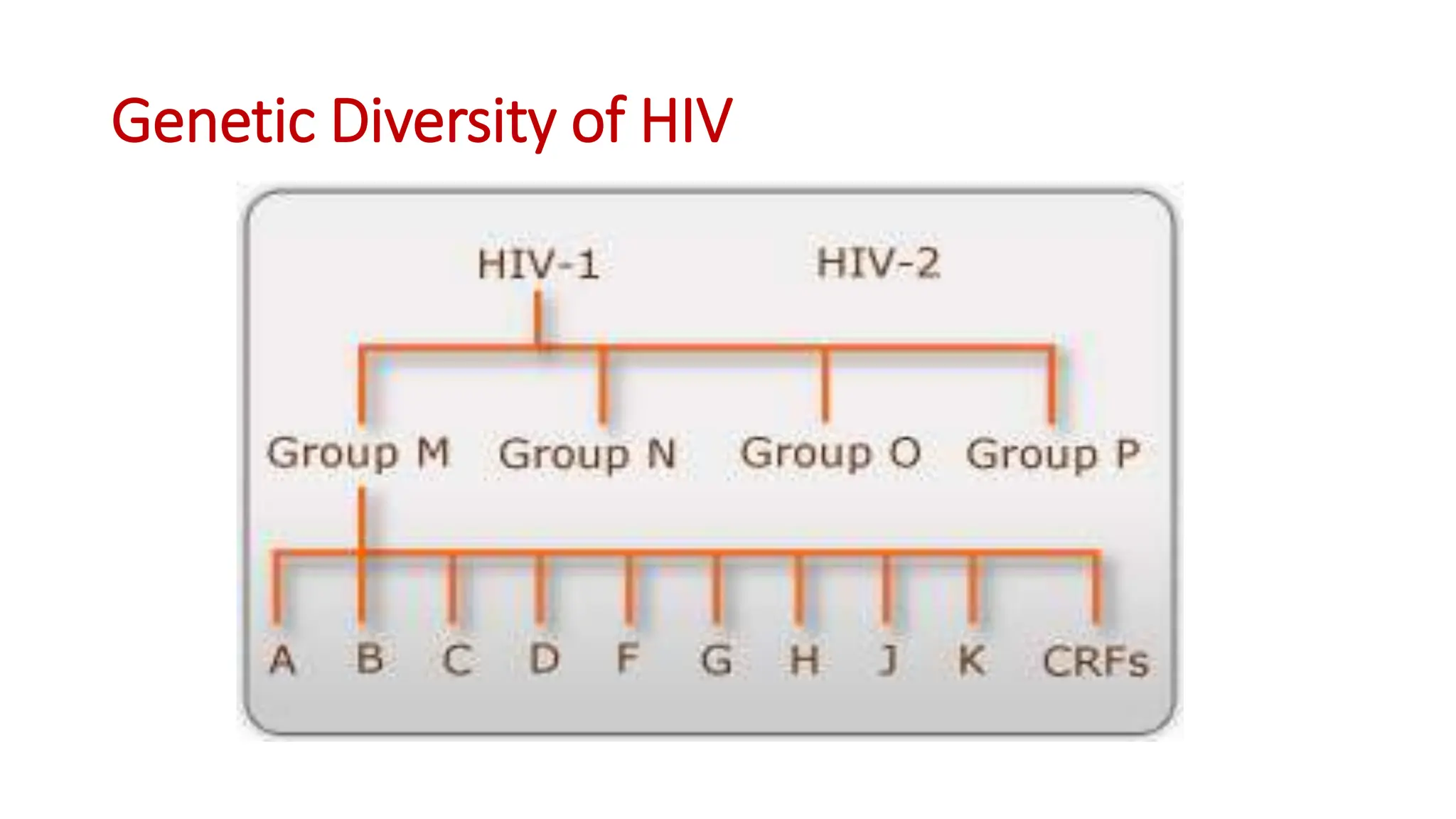 Genetic Diversity of HIV
 