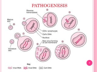 7
PATHOGENESIS
 