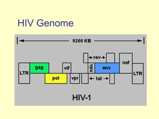 HIV Genome
 