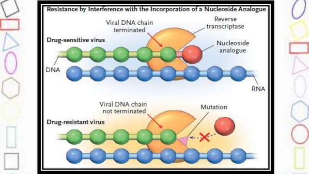 hiv drug resistance and its management | PPTX | Genetics | Science