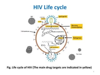 Hiv Life Cycle And Drug Targets