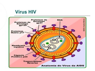 Vírus HIV
 