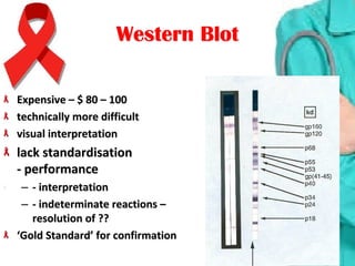 Expensive – $ 80 – 100Expensive – $ 80 – 100
technically more difficulttechnically more difficult
visual interpretationvisual interpretation
lack standardisationlack standardisation
- performance- performance
–– - interpretation- interpretation
–– - indeterminate reactions – - indeterminate reactions – 
resolution of ??resolution of ??
‘Gold Standard’ for confirmation‘Gold Standard’ for confirmation
Western BlotWestern Blot
 