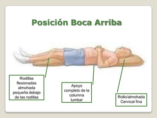 Rollo/almohada
Cervical fina
Apoyo
completo de la
columna
lumbar
Rodillas
flexionadas
almohada
pequeña debajo
de las rodillas
Posición Boca Arriba
 