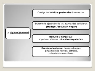 Corrige los hábitos posturales incorrectos
Previene lesiones: hernias discales,
pinzamientos nervios, artrosis,
contracturas musculares…
Durante la ejecución de las actividades cotidianas
(trabajo /escuela/ hogar)
La higiene postural
Reduce la carga que
soporta el sistema músculo-esquelético
 