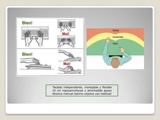 Teclado independiente, manejable y flexible
10 cm reposamuñecas o almohadilla apoyo
Alcance manual óptimo objetos uso habitual
 