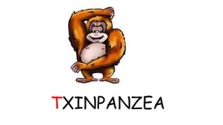 TXINPANZEA 
 