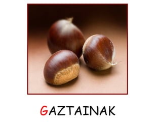 GAZTAINAK 
 