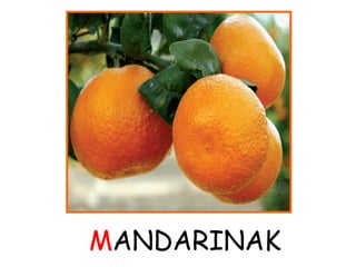 MANDARINAK 
 