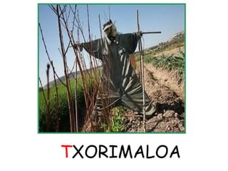 TXORIMALOA 
 
