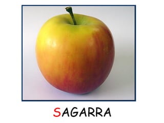 SAGARRA 
 