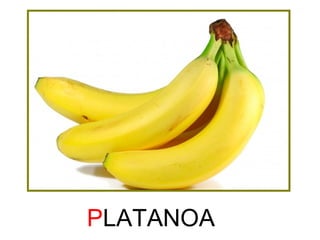 PLATANOA 
 