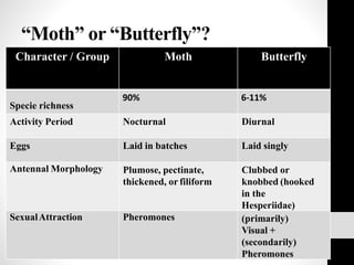 “Moth” or “Butterfly”?
Character / Group Moth Butterfly
Specie richness
90% 6-11%
Activity Period Nocturnal Diurnal
Eggs Laid in batches Laid singly
Antennal Morphology Plumose, pectinate,
thickened, or filiform
Clubbed or
knobbed (hooked
in the
Hesperiidae)
SexualAttraction Pheromones (primarily)
Visual +
(secondarily)
Pheromones
 