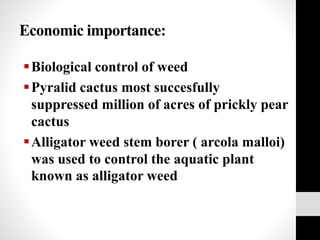 Economic importance:
Biological control of weed
Pyralid cactus most succesfully
suppressed million of acres of prickly pear
cactus
Alligator weed stem borer ( arcola malloi)
was used to control the aquatic plant
known as alligator weed
 