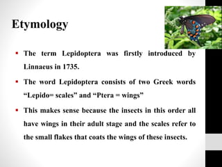  The term Lepidoptera was firstly introduced by
Linnaeus in 1735.
 The word Lepidoptera consists of two Greek words
“Lepido= scales” and “Ptera = wings”
 This makes sense because the insects in this order all
have wings in their adult stage and the scales refer to
the small flakes that coats the wings of these insects.
Etymology
 
