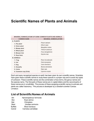 Scientific Names of Plants and Animals 
Each and every recognized species on earth has been given its own scientific names. Scientists 
have given these scientific names to study these species in a proper way and to avoid any types 
of confusion. These scientific names are the combination of two terms, the genus names and 
the species name. The first parts of these names are in capital letters and the second parts of 
these names are in small letter. The process of these assigning scientific names to animals and 
plants are called ‘taxonomy.’ This process is developed by a Swedish scientist ‘Carolus 
Linnaeus’. 
List of Scientific Names of Animals 
Ant Hymenopetrous formicida 
Ass: Equs asinus 
Bat: Chiroptera 
Bear: Ursidae carnivora 
Buffalo Bison bonasus 
Camel Camelus camelidae 
 